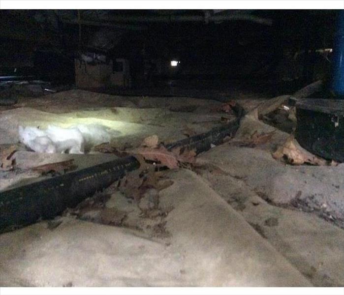 crawlspace, wet, with debriscrawlspace dry with plastic sheeting on the ground
