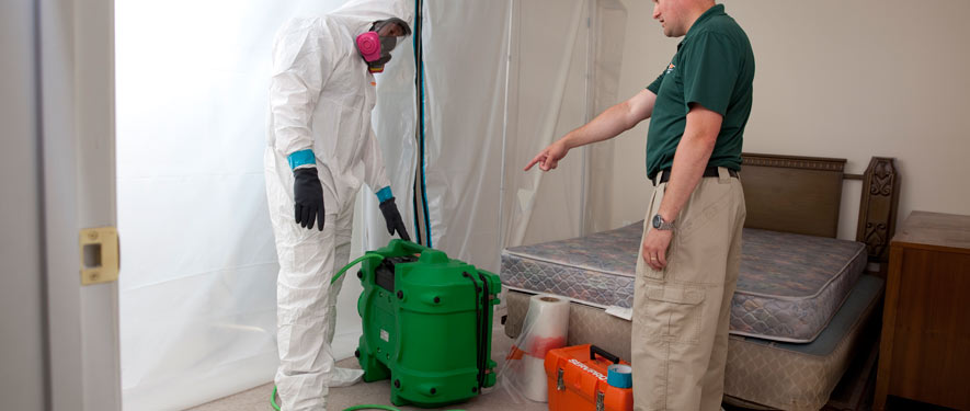 Clearwater, FL mold removal process